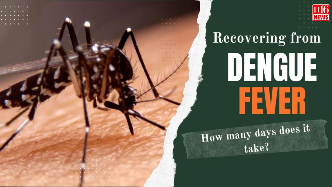 What Is Post-Dengue Fatigue Syndrome And How To Recover
